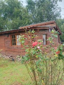 Cabaña en los solares