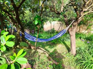 Le Gîte du Pont des Lones