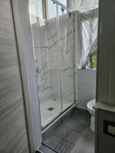 Oasi del sole REGINA img11