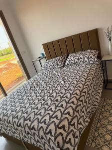 appartement les oranges