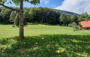 Cozy Home In Kuterevo With Wifi