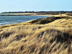 5 person holiday home in Dannemare-By Traum