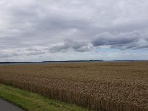 5 star holiday home in Væggerløse