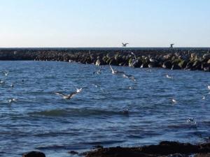 6 person holiday home in Dannemare-By Traum