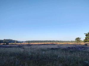 8 person holiday home in Hovborg-By Traum