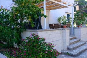 CASINA 1806 Selva di Fasano