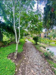 Reserva de la colina apartasoles