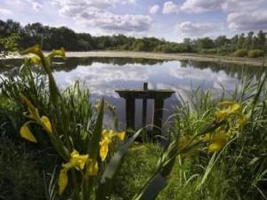 Charmante étable rénovée avec piscine et parking dans la Brenne - FR-1-591-136