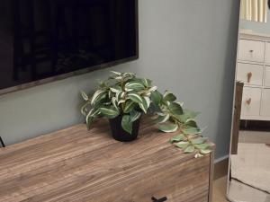 Modern Studio Near Dubai World Trade Centre