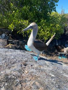 Isla Sol INN Boutique