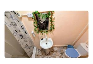 Casa de huéspedes La Española