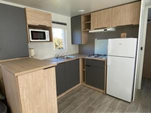 Mobil home avec terrasse à Guégon - API-1-52-558