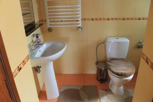 Cottage u Yaremy Mykulychyn