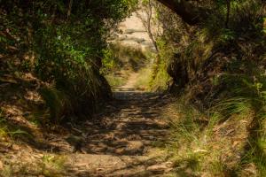 Grey River Beach House - 10 minutes to Wye