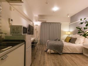 Aiwa Mansion Vacation STAY 80383