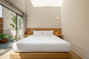 Cholula Condesa Hotel by Lumina