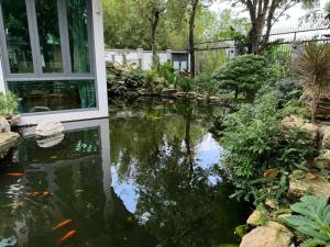 Tropical Riverfront Pool House