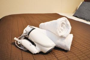 Anastasia Shinmachi - Vacation STAY 82800