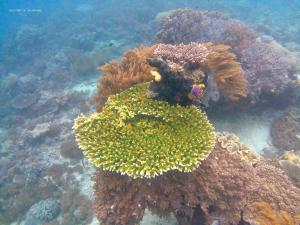 Subdikar Guest House