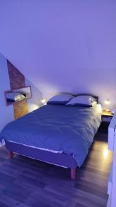 le petit cosy terrasse et spa