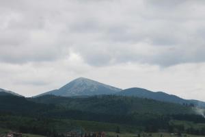 Cottage u Yaremy Mykulychyn