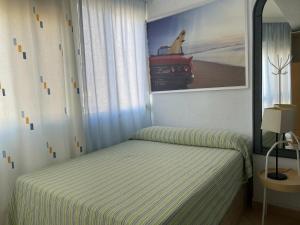 Terrasol Plazamar 4-2ª Planta