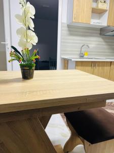 Cinema Villa Elena#2