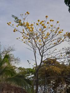 Casa Rústica Rancho de Lía- Vacacional
