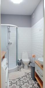 Аpartments Zelena Street Lviv