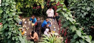 Kiwi Backpackers Hostel Pokhara