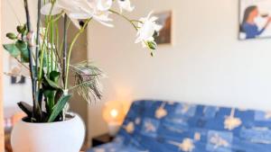 Cozy City apartement with Balcony