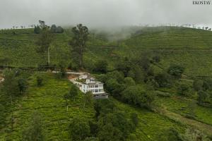 EKOSTAY I Pearl House Villa I 360 Degrees Tea Estate