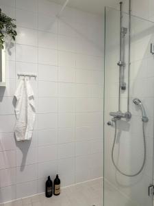 Videsten Old Town Studio