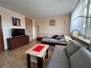 Apartamenty Dagma blisko lasu