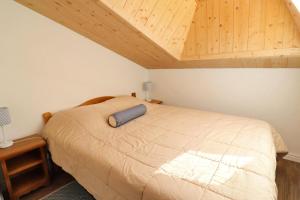 Résidence Plan Du Lac - CHARMANT DUPLEX SKIS AUX PIEDS, PROCHE DES COMMERCES, SUPERBE VUE MAE-7470