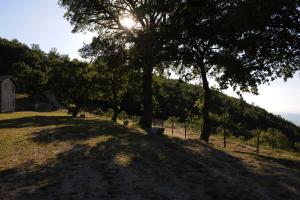 APPARTAMENTI Vista del Mondo