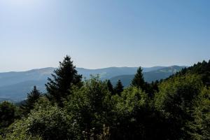 Refuge Mil100 Chalet-spa Luxe 5