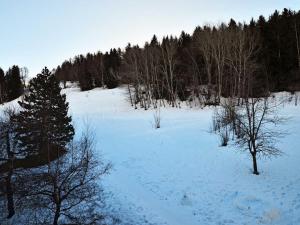 Studio rénové 3 étoiles, 45 pers, proche pistes, balcon, parking - FR-1-329-19