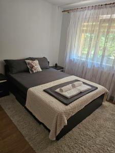 Apartament Criss