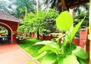 Ambara Kovilakam Private Pool Villa By Travent Mug