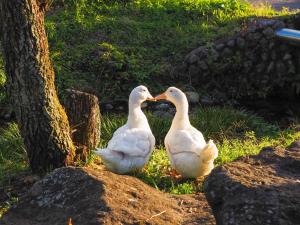 Nakagawa Bettei - Vacation STAY 9303