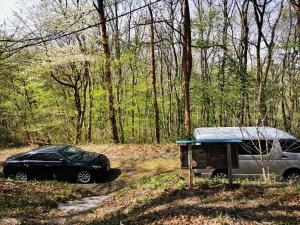 Nasusanso - Vacation STAY 9643