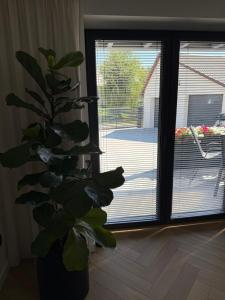 Apartament w górach