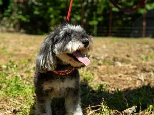 Farm Garden Hotel - 2hvězdičkové hotely ve městě Numazu