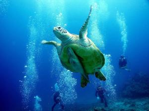 Flat piece chair house - Vacation STAY 40370v