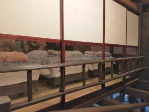 Fuzinrazin - Vacation STAY 30831v