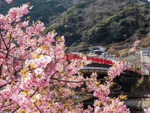 KR base Villa IzuShirahama Resort - Vacation STAY 33296v