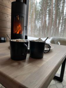 Villa Tieva B Ski-in Ski-out by Aavalevi