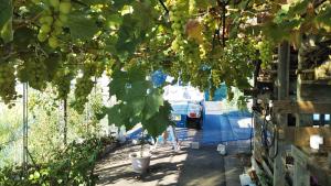 Nihonkai Nou no yado Miharashitei - Vacation STAY 11631