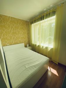 Cosy Studio in Tartu Center